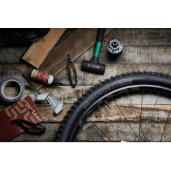 Покрышка E*Thirteen Grappler 29x2.5 Downhill Endurance TR2LPA-120