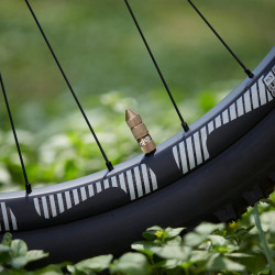 Ниппель бескамерный E*Thirteen Quickfill Gen2 16-24mm 2 шт. Schrader Bronze TR2UNA-129